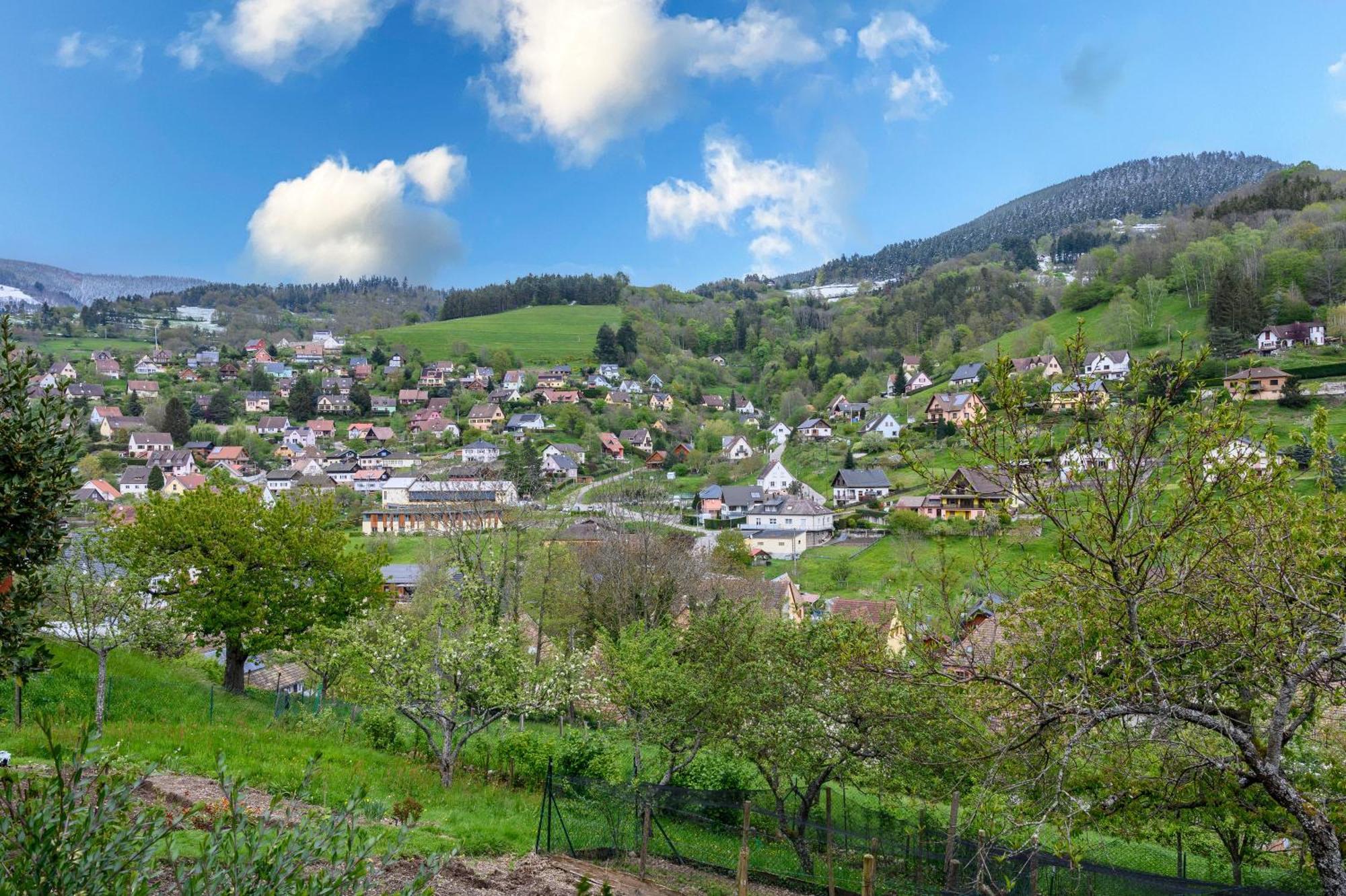 Gite En Montagne Vosges Alsaciennes Fréland Εξωτερικό φωτογραφία